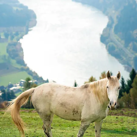 Glamping Hisice Orlic * Muta