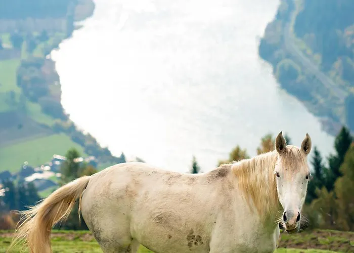 Glamping Hisice Orlic * Muta